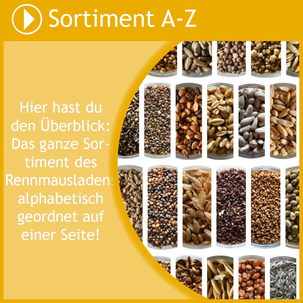 Entdecke das ganze Sortiment des Rennmausladens von A-Z geordnet.