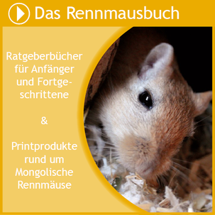 Entdecke die Ratgeberbücher über Mongolische Rennmäuse im Rennmausladen.