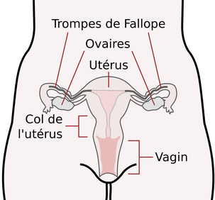 Quand Faire L Amour Je Veux Un Bebe Quand Faire L Amour Je Veux Un Bebe