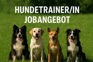 Hundetrainer Job gesucht