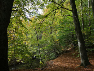 Alsterwanderweg ©