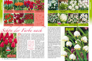 Doppelseite der Clubzeitung