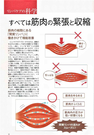 リンパケアの科学