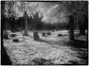 il Cimitero di Bachelo's Grove