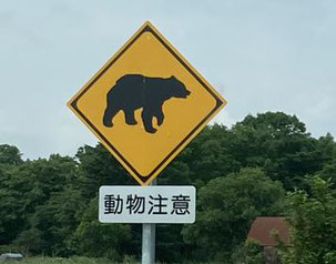 クマとの遭遇被害