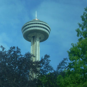 Gourmet Dinner in the Revolving Skylon Restaurant !!! 