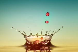 Sieger Thema Makro / Isolde Stein-Leibold / "Red Drops"