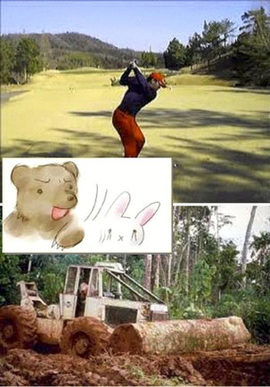 Deforestation by enjoying golf!