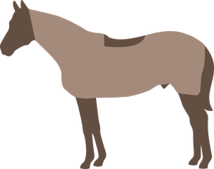 Jagdschur Pferd