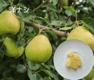 #やのや #豆乳発酵バター #きんのばたぁ #100%植物性 #免疫力UP #洋ナシ