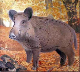 Bogenschießen auf Tierbilder