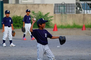 SEG君