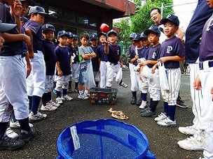 個人戦