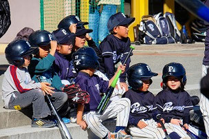 戦力充実、Pジュニア軍団
