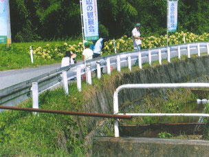 一関市　舞川第18民区　水辺の観察会