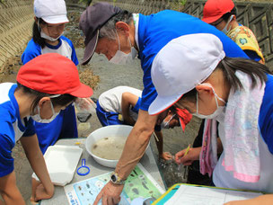 川崎小４年生の総合学習で水生生物調査の様子