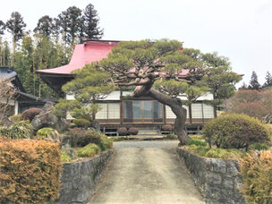 門かぶり松　一関　川崎