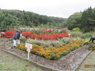 班単位で花壇