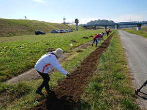 清庵の里　磐井河川緑地での菜の花の播種会の様子