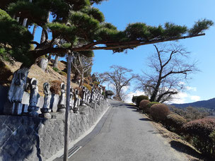 門かぶり松　一関　藤沢