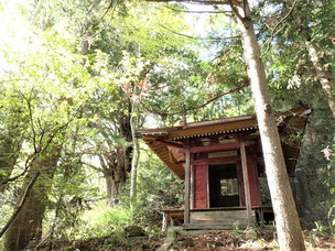 安永風土記にも記載されている「沼神社」