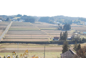 日向　花泉　荘園風景　奈良坂村