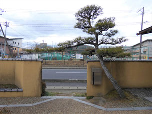 本誌こぼれ記事】門かぶり松ギャラリー① - いちのせき市民活動