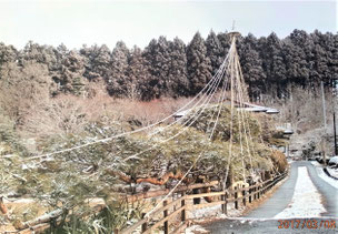 門かぶり松　一関　花泉