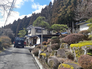 門かぶり松　一関　藤沢