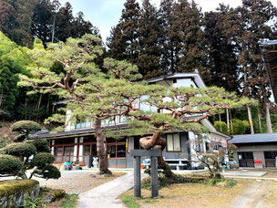 門かぶり松　一関市　室根町