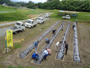 一関市東山　大木自治会　花の植え付け作業