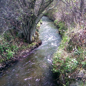 Camí de l'aigua de Bolvir - Riu