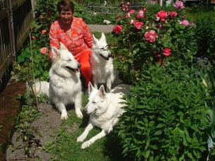 Querubina,Quandie und Estella