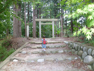 あやめ公園