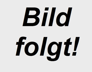 Bau- und Werkstattkompressoren, Kompressor, Baukompressor, Werkstattkompressor, Christian Womelsdorf, Maschinenmietservice Erndtebrück, Bad Berleburg, Bad Laasphe, Ingersoll Rand P101WD, mieten statt kaufen