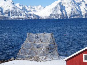 Schitouren in Norwegen mit Bergführer, Schitouren Lyngen mit Bergführer, Skitouren mit Gruppe in Norwegen, einsame Skitouren mit Bergführer, ruhig, traumhaft, wunderschön, klaus gruber, lyngen, 