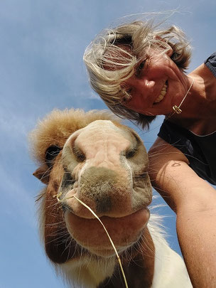 Islandpferd Helgi und Reiterin Sigi gucken gemeinsam nach unten in die Kamera