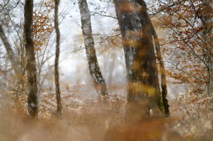 Automne en Franche-Comté