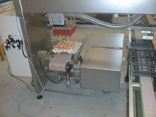 Egg packer - 30 eggs /tray