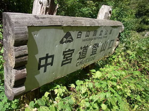 ようやく中宮道登山口に下山しました。ホッ。＼(^o^)／