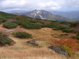 北弥陀ヶ原　日本庭園みたいです