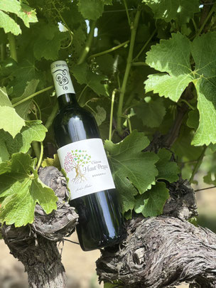 bergerac, vin, château, Haut Pezaud