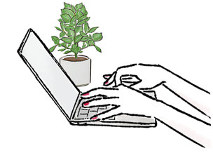 ノートパソコンに向かう女性の指先。となりにグリーンの鉢植。