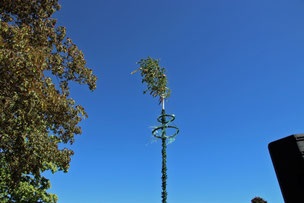 Der aufgestellte Maibaum zum 01.Mai