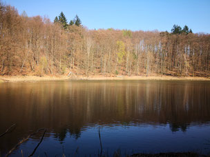 Fontane und der Waldsee