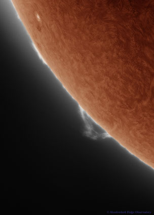 AR 3531 with prominence