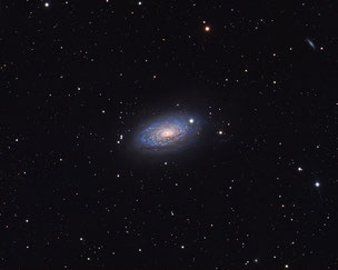 M63 _ The Sunflower Galaxy