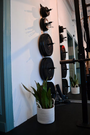Trainingsraum von lb personal training in Aachen mit funktionellem Equipment.