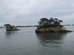 松島周遊（島の名前はわかりません）