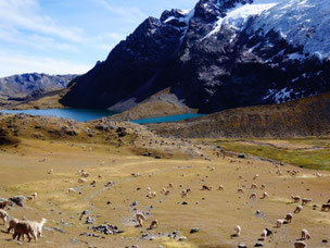 Itinéraire voyage au pérou - trekking Ausagate
